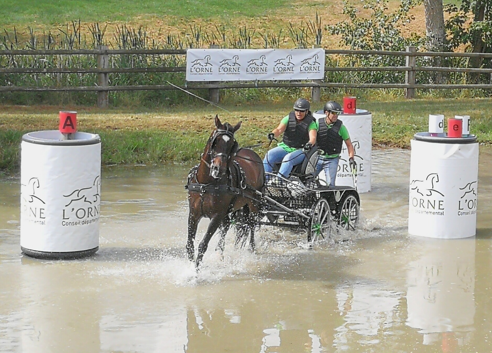REPRESENTACION NAVARRA EN EL CONCURSO FEI ** ENGANCHES DE HARAS DU PIN (FRANCIA)